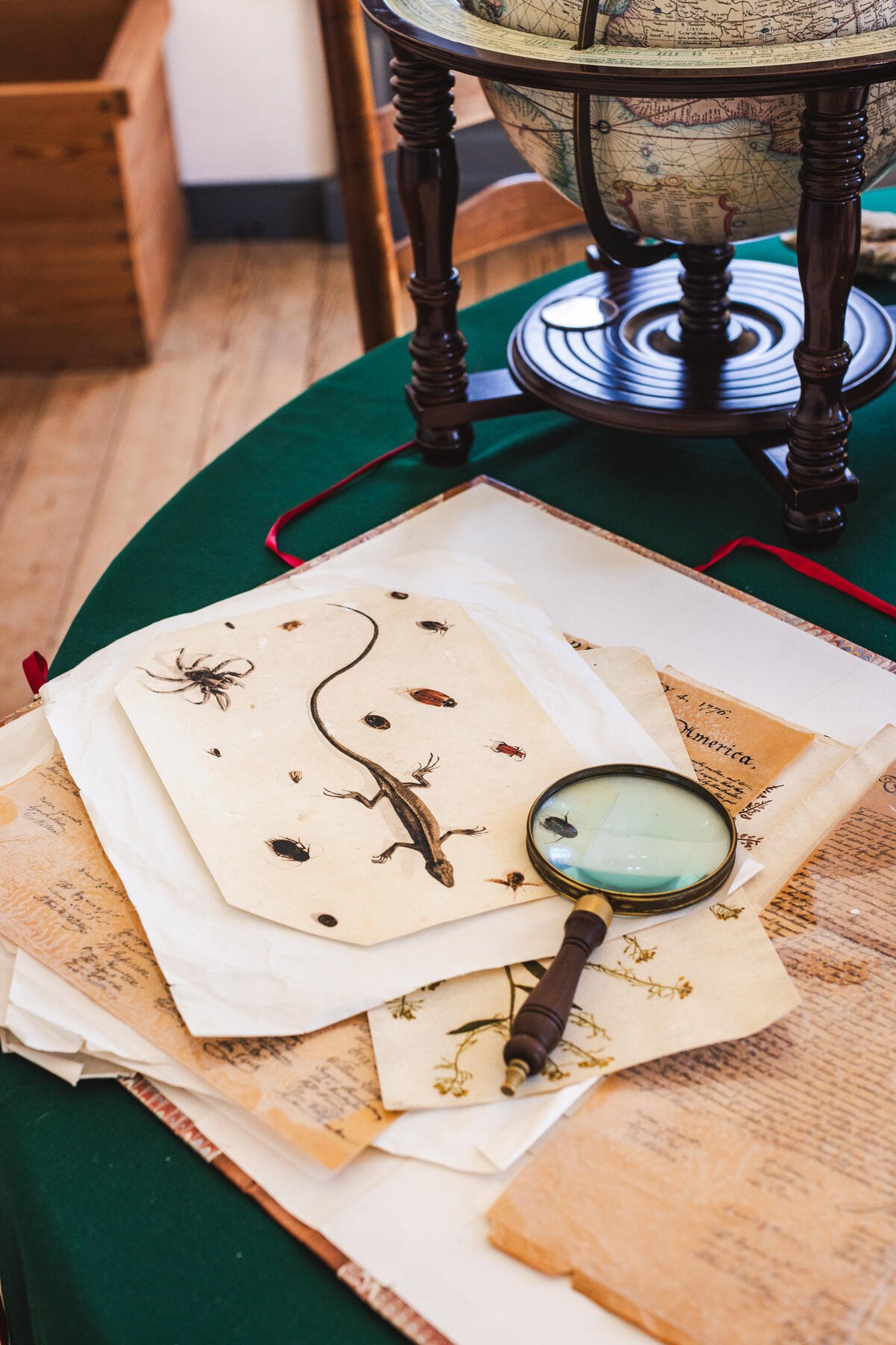 documents on desk with magnify glass