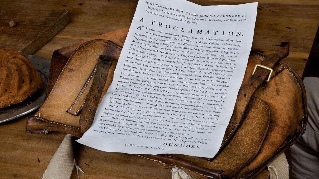 D2007-DMD-0607-1144_Medium (Digital Publication)