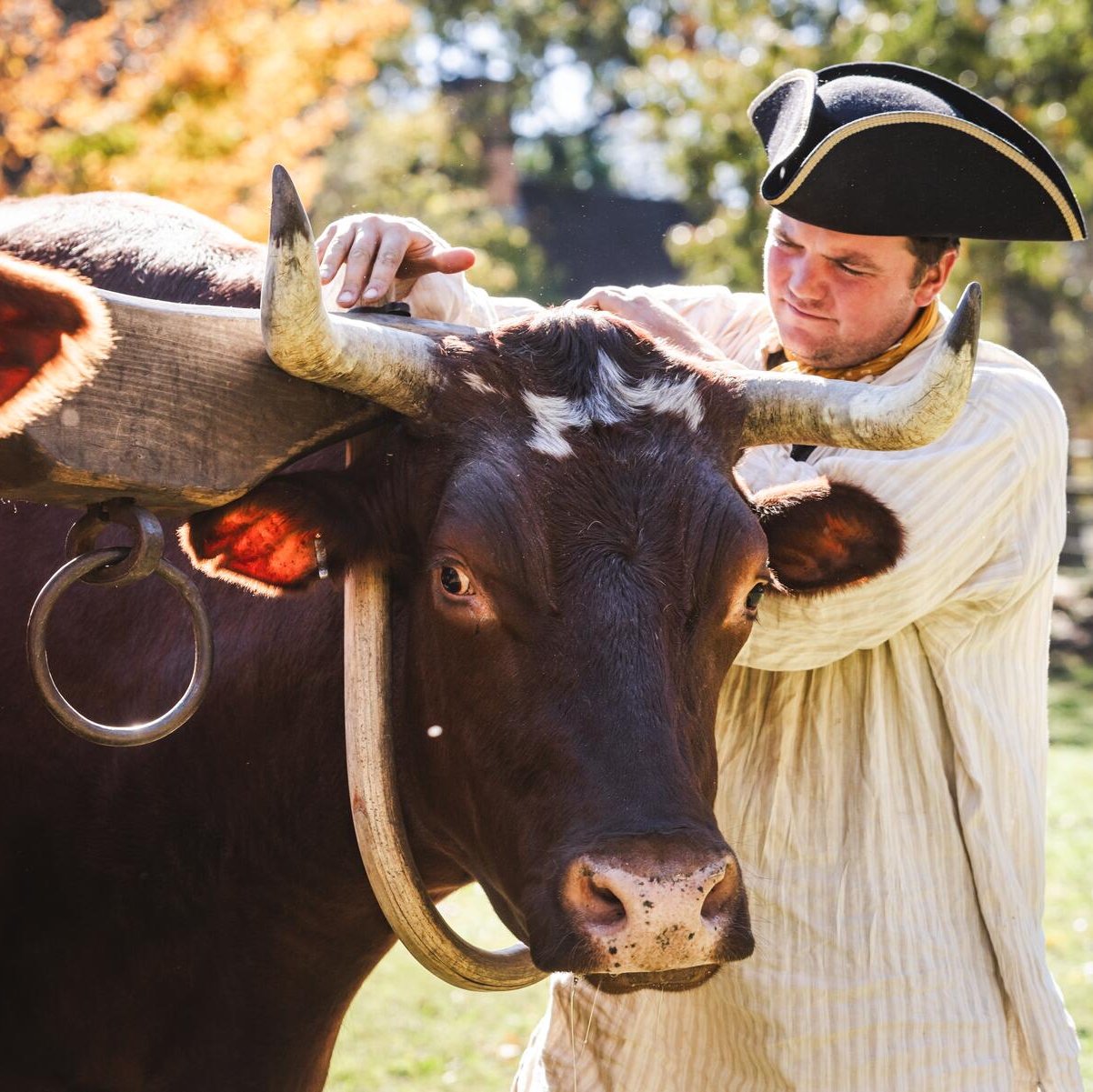 D2024-TVC-1024-0164_Medium (Digital Publication)