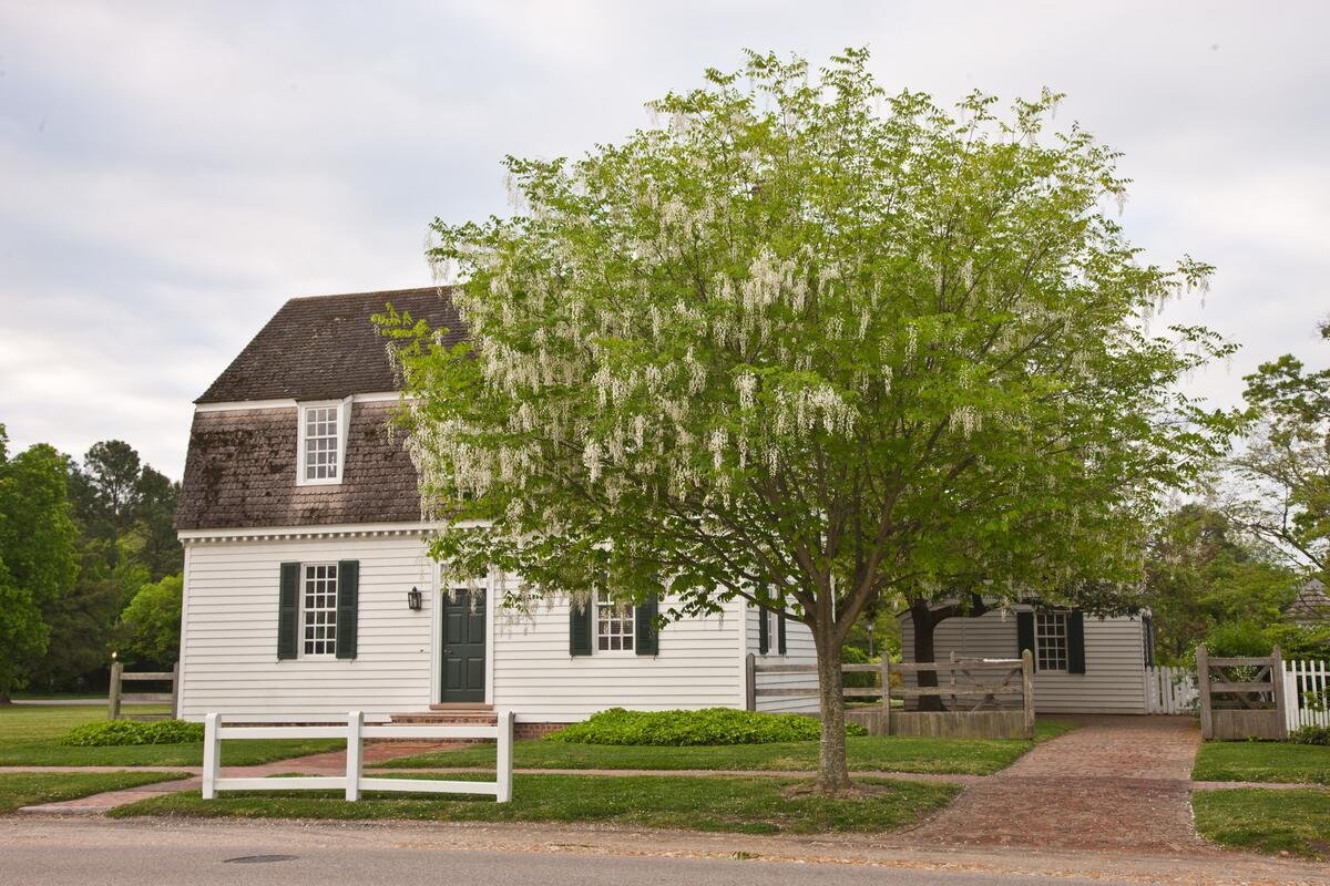 Ewing House Street View with Tree