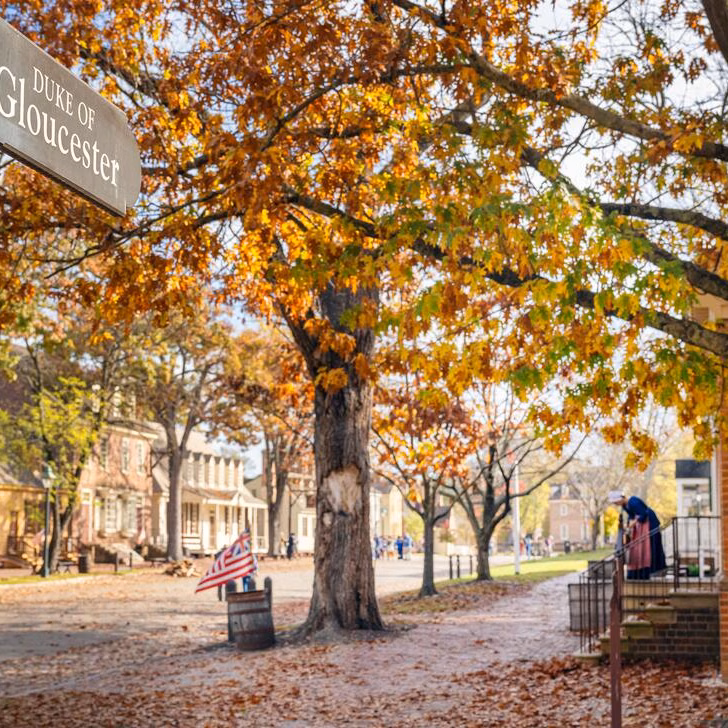 Fall Leaves on Duke of Gloucester
