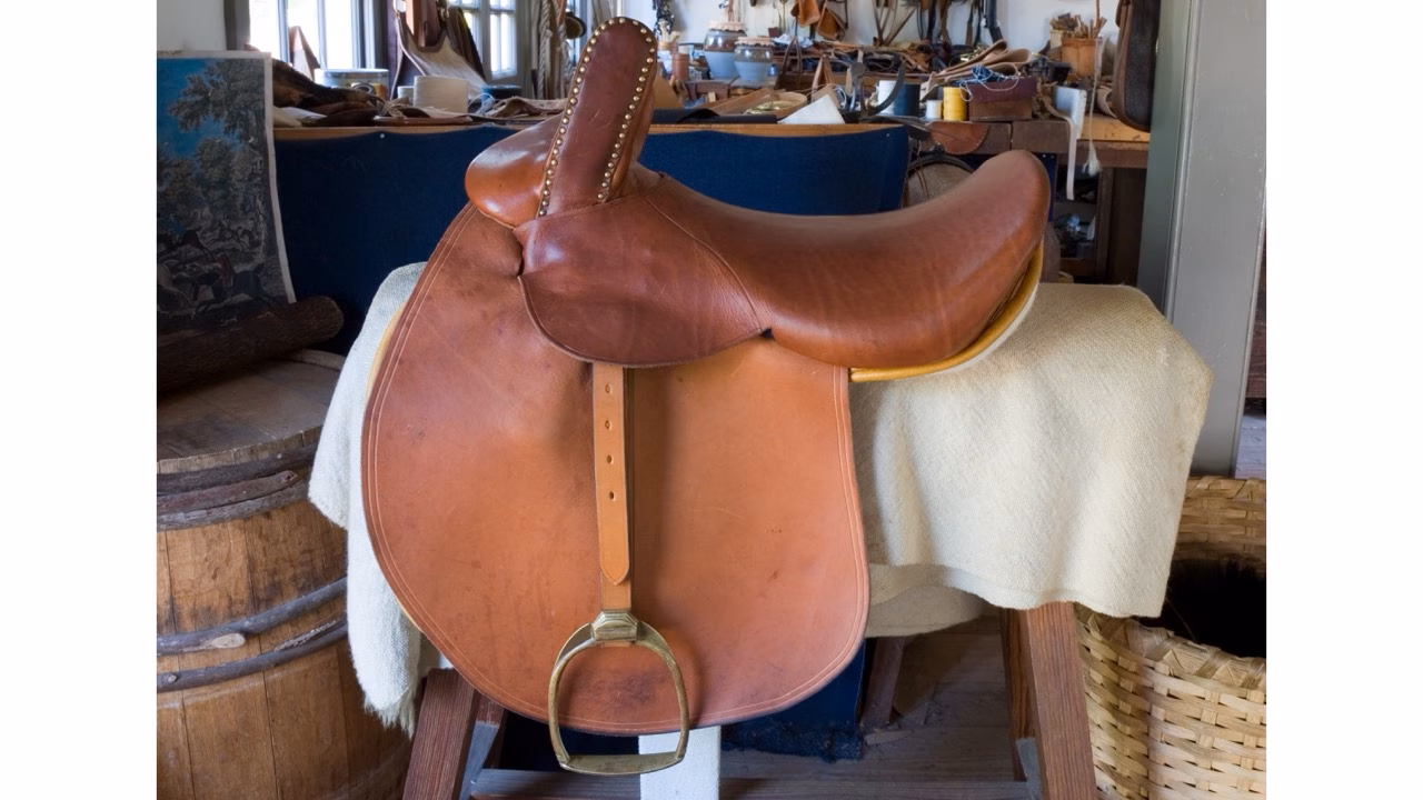 Fig 1-saddle-everyday-travel-1440x810