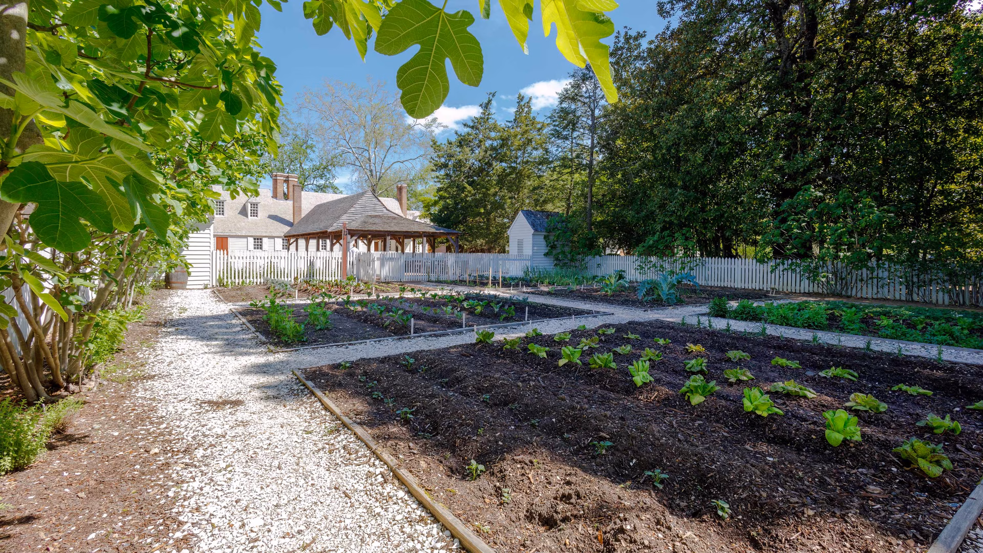 Figure-6-enslavedtaverns