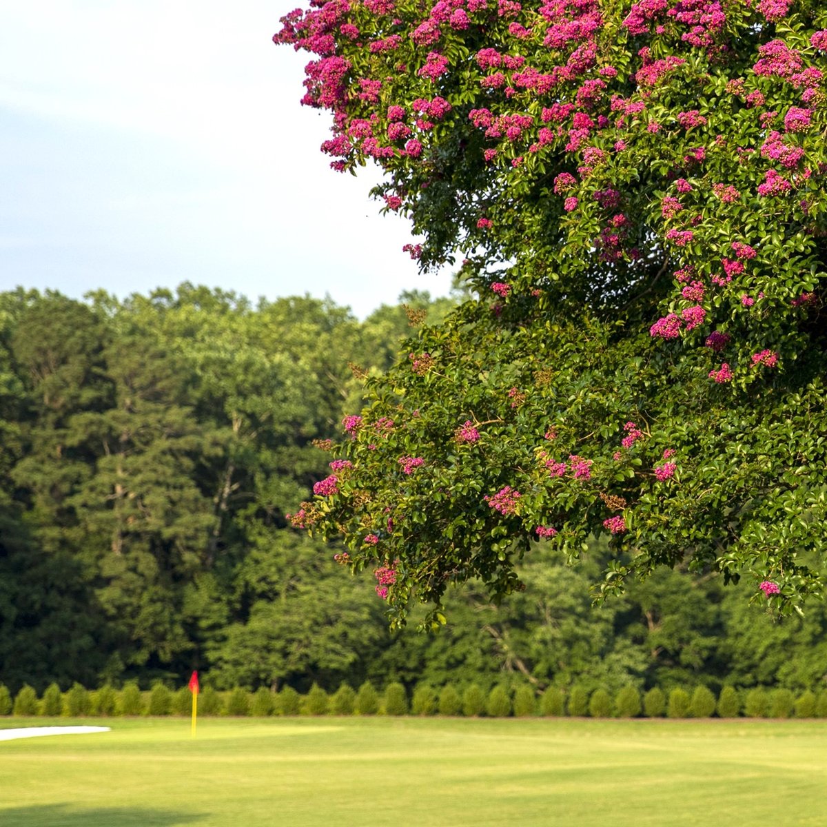 Gold Course Driving Range (2)