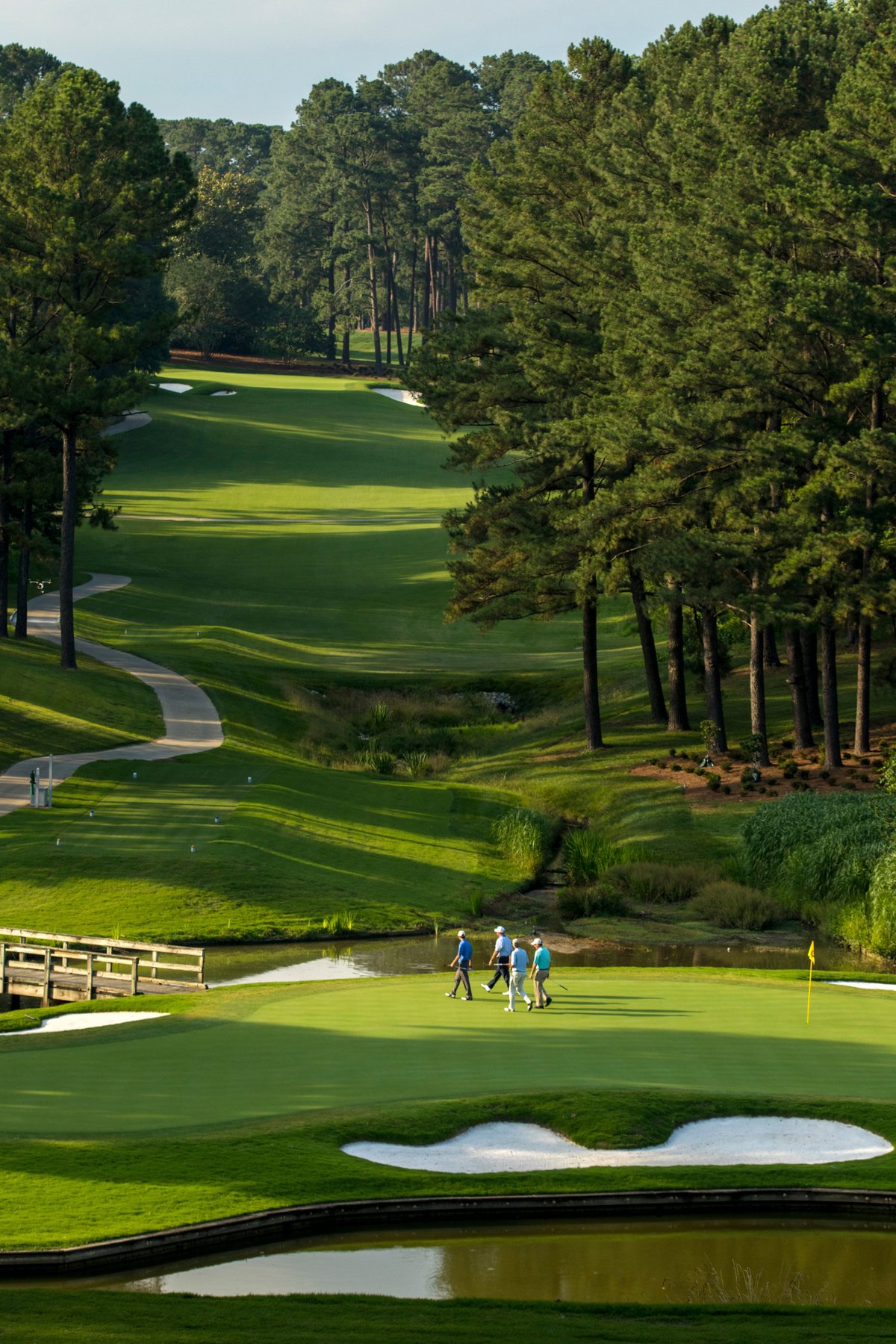 Golf Gold course - group