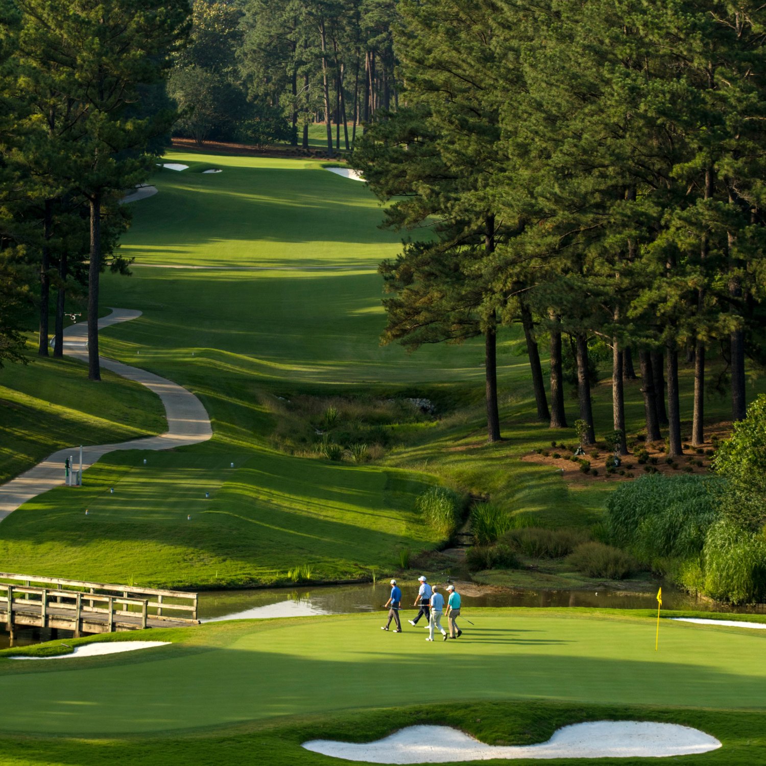 Golf Gold course - group