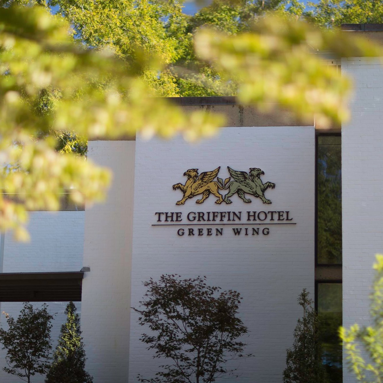 Griffin Hotel signage view through the leaves