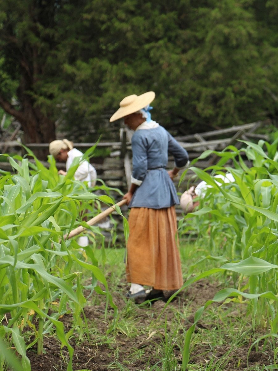 Homeschool Hands-On Importance of Tobacco_teaser