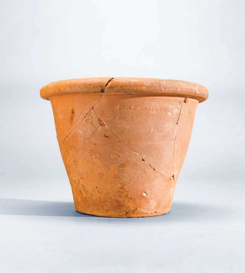 In-Focus-Earthenware-Flower-Pot