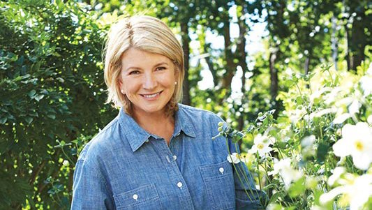 martha-stewart-spring-2016-trend-and-tradition