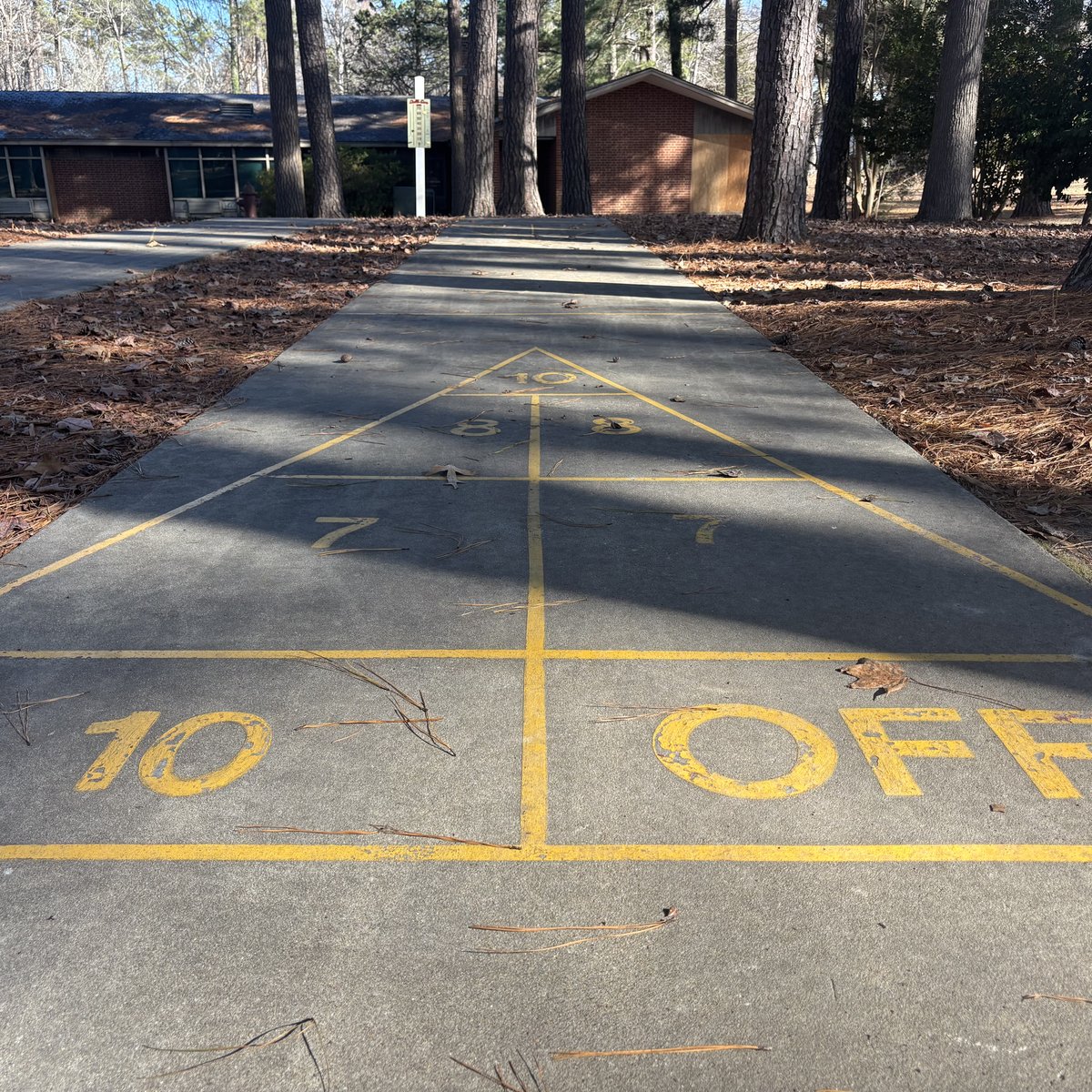 Shuffleboard at the Woodlands