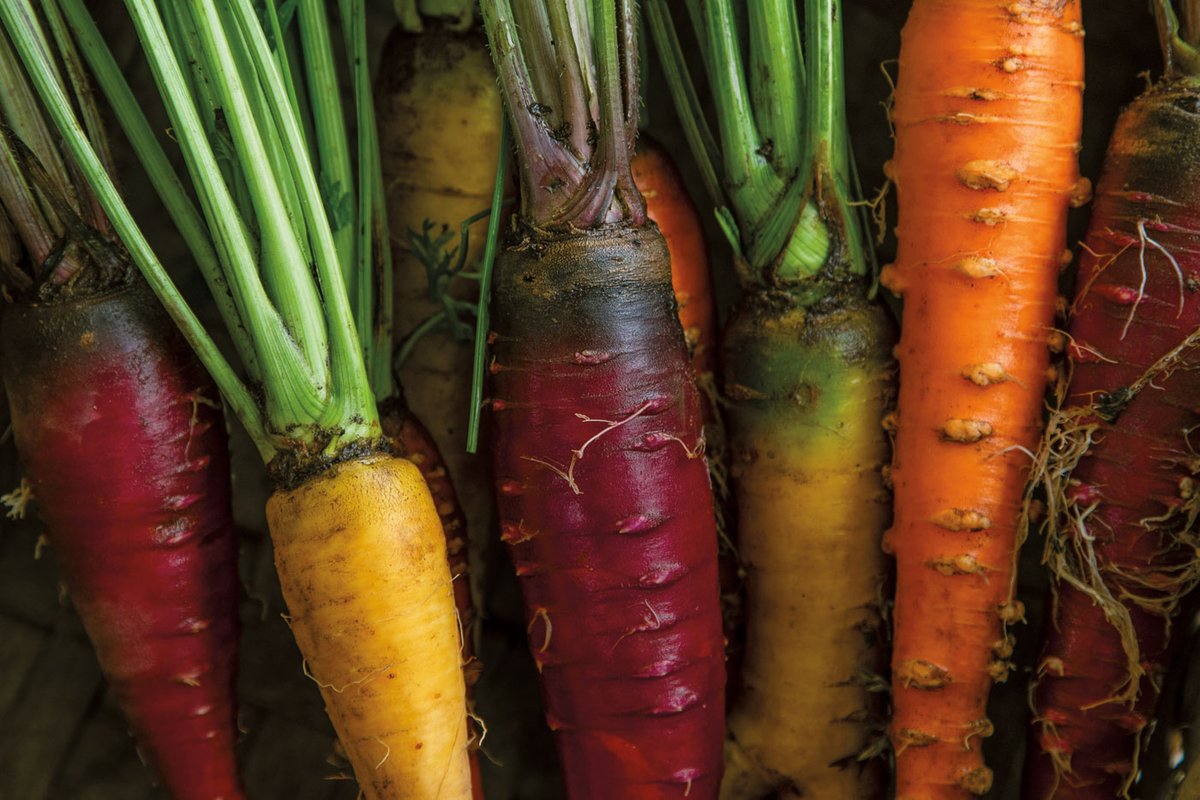 TT.Winter2026.GardentoTable