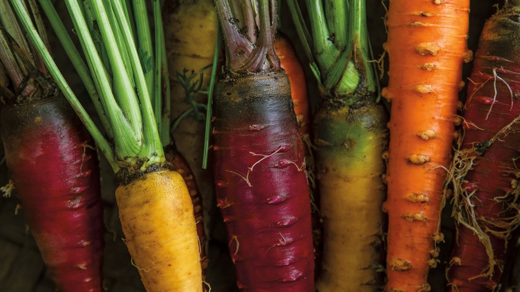 TT.Winter2026.GardentoTable