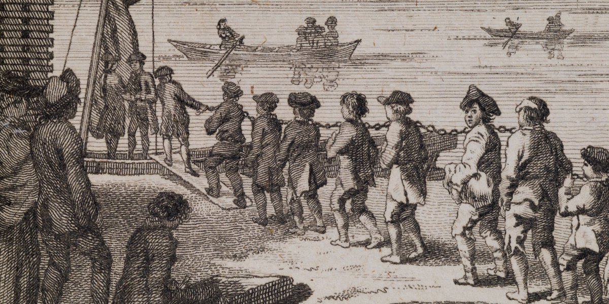 Rattlesnakes in the Rappahannock Colonial Williamsburg