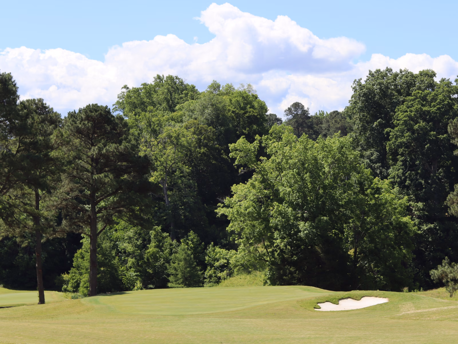 The Shoe - Hole 4, Green & Bunker [wide]