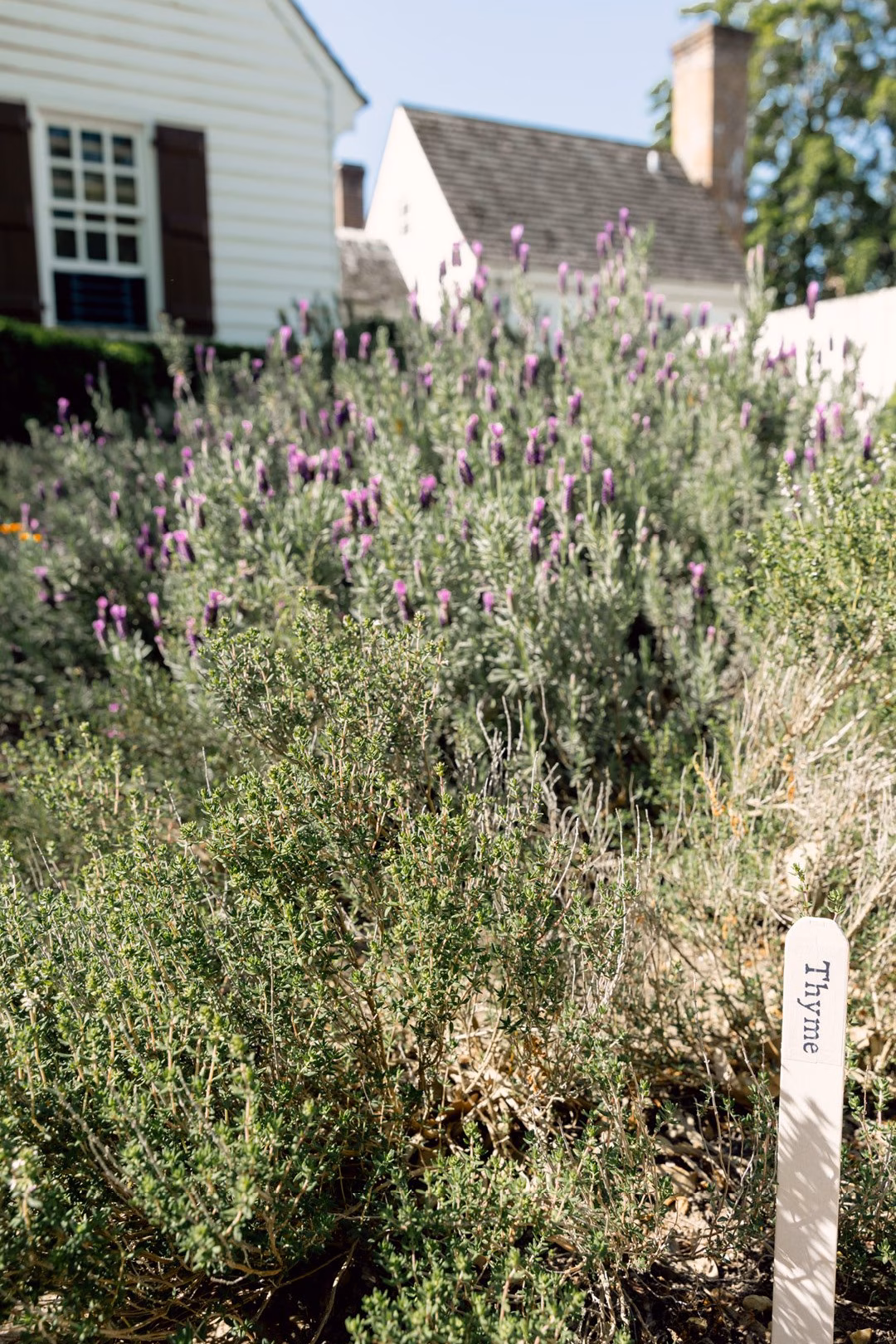 apothecary-herbalizing-ems-9x16-main.original.jpg