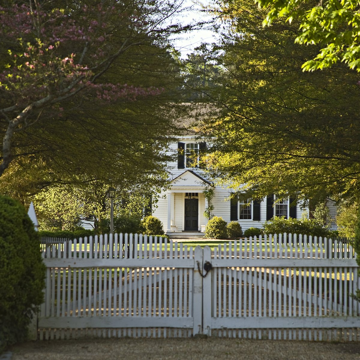 basset-hall-spring