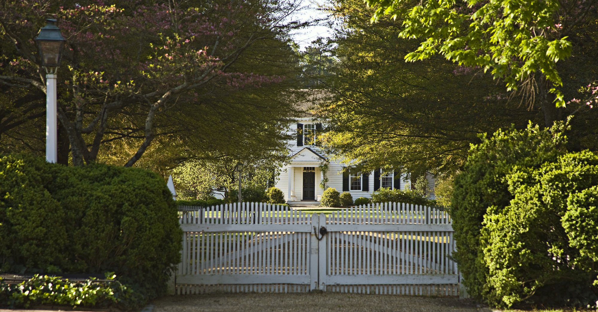 basset-hall-spring