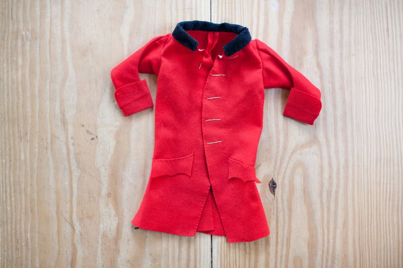 A photo of a red coat made for a cat.