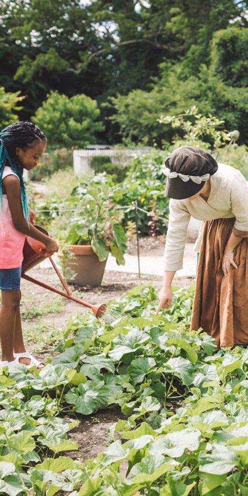 colonial_garden_main.original.jpg