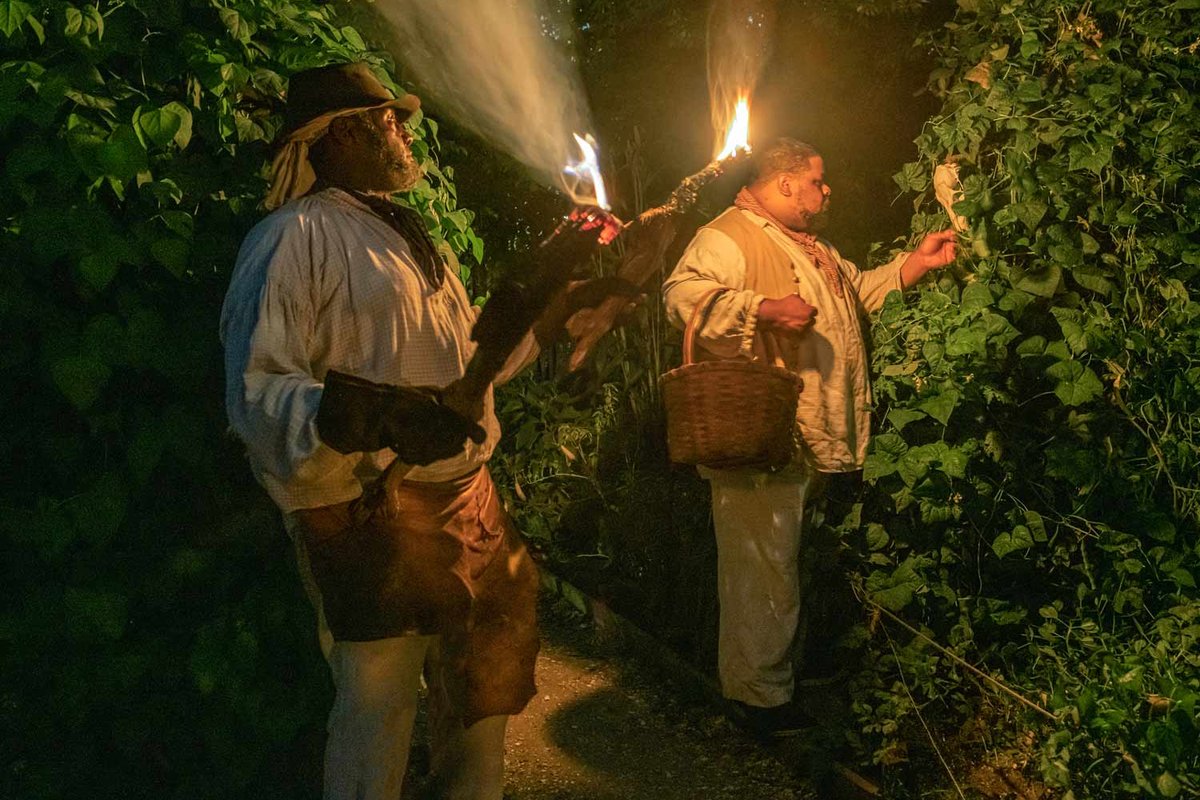 enslavedgardeners-Cover-image