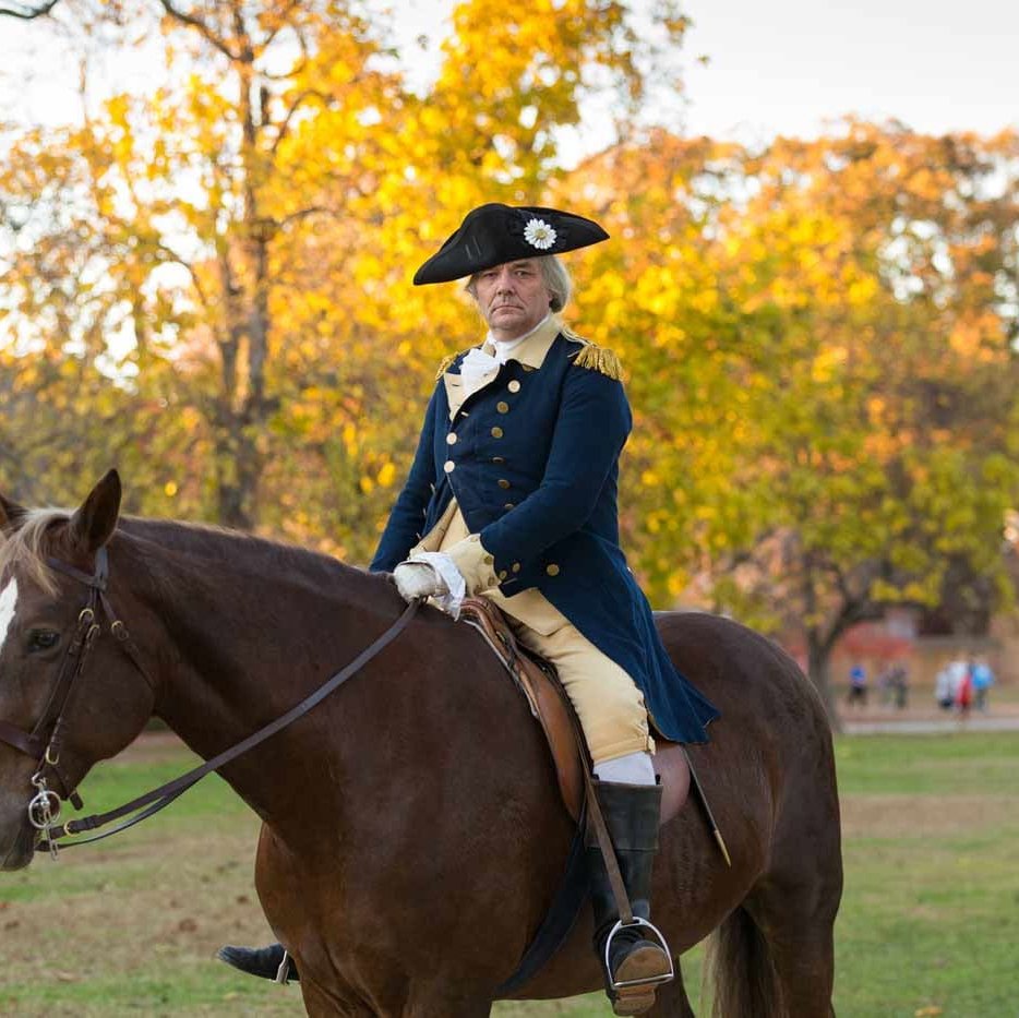 george_washington_ron_horse