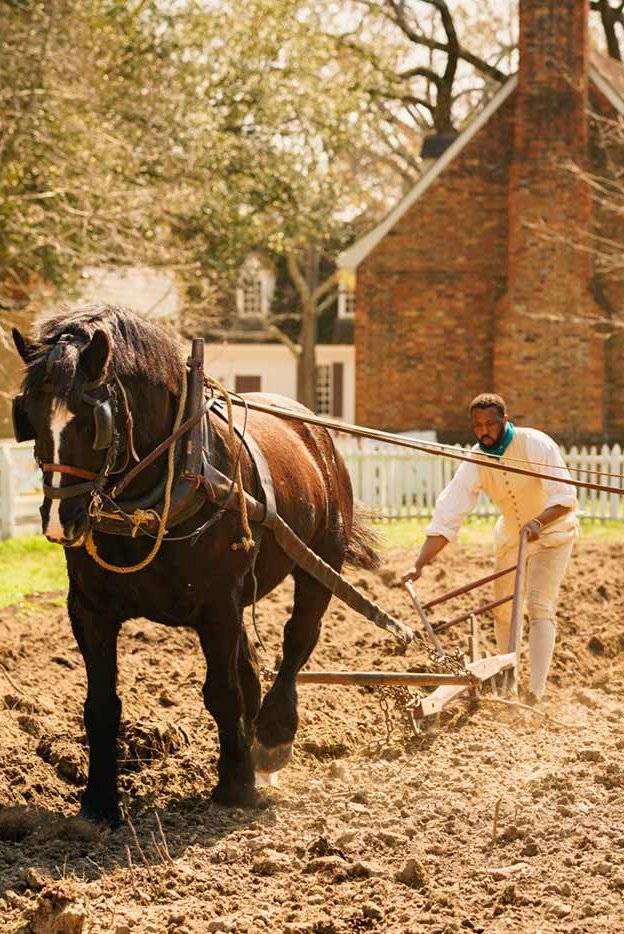 horse-and-plow