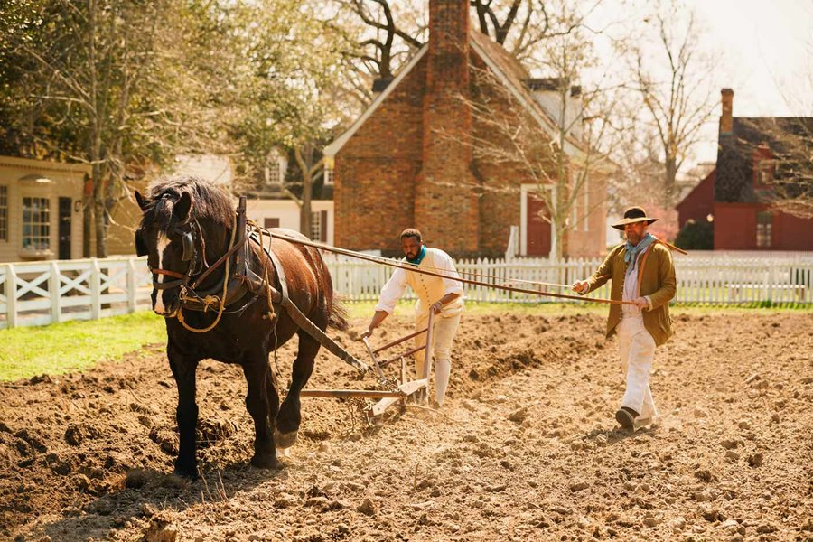 horse-and-plow