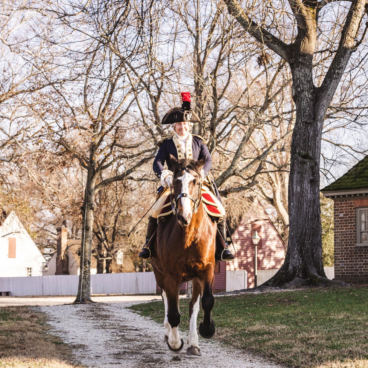 marquis-de-lafayette-horse