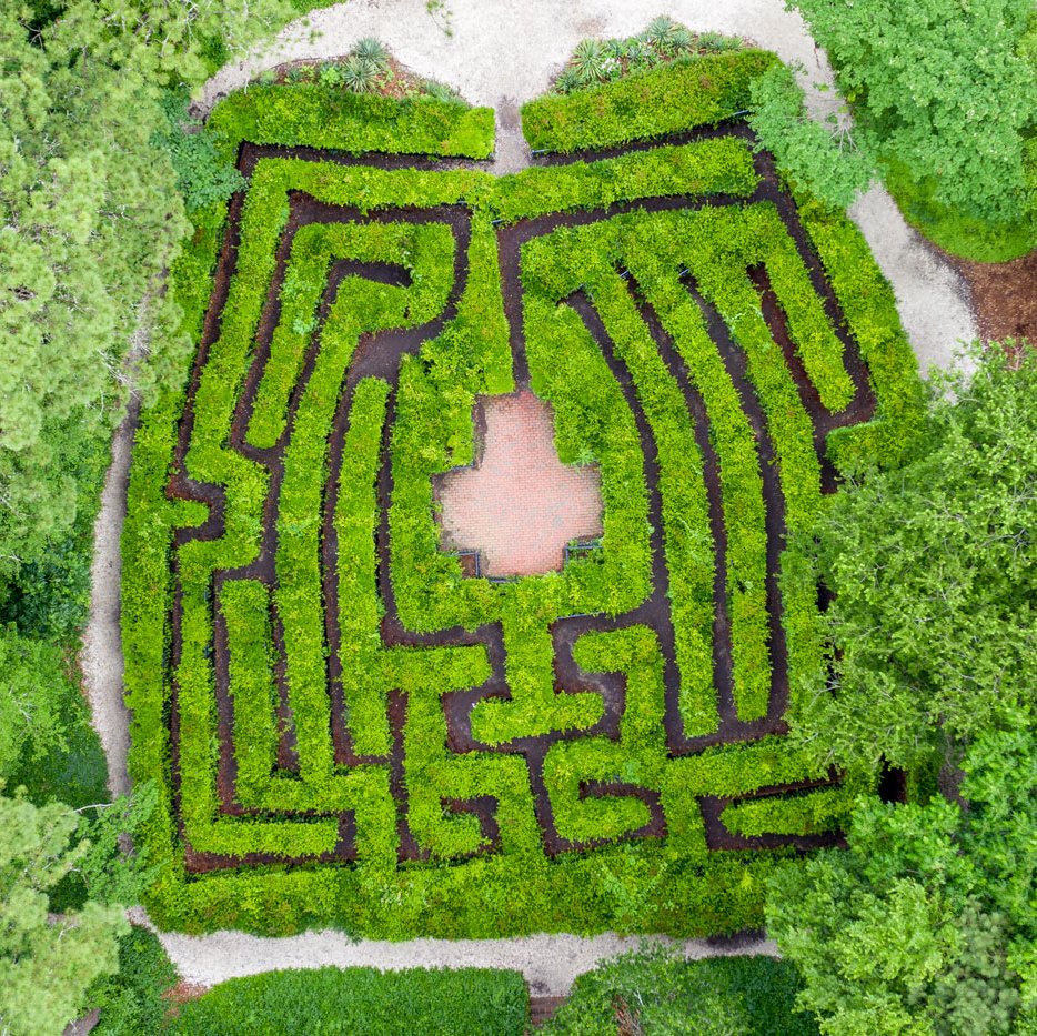maze-aerial-blog