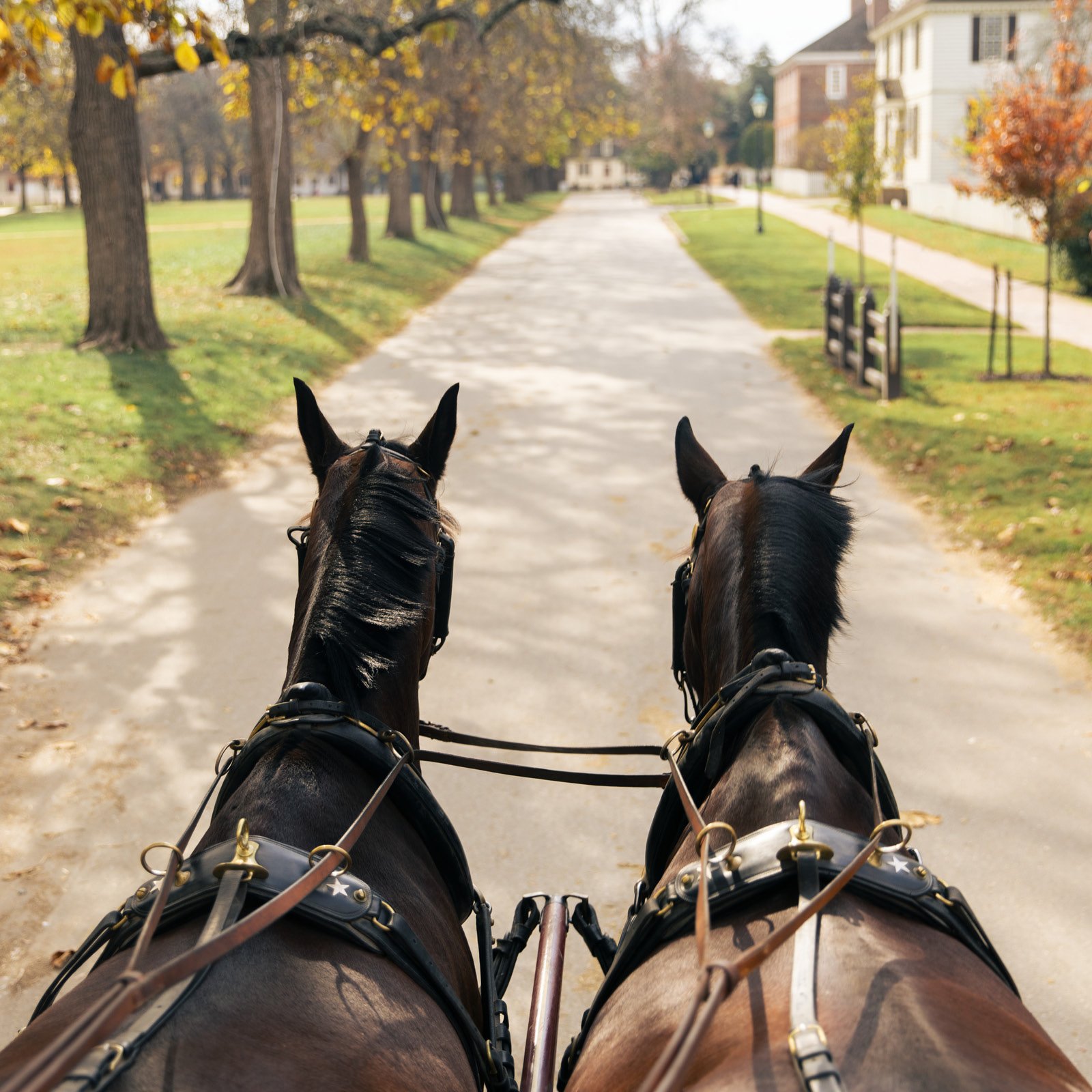 notable-diarists_cover