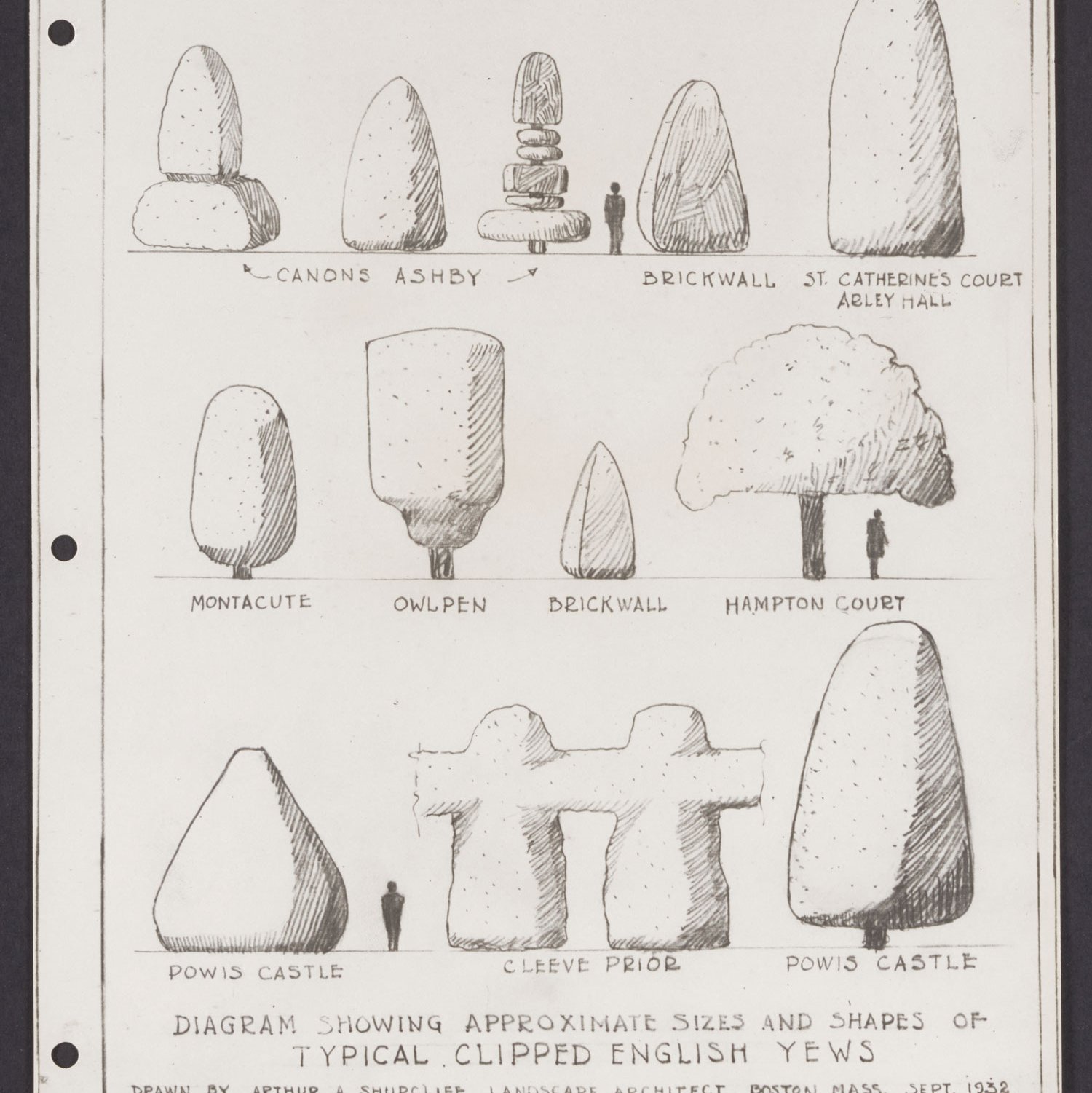 shurcliff-Fig-11