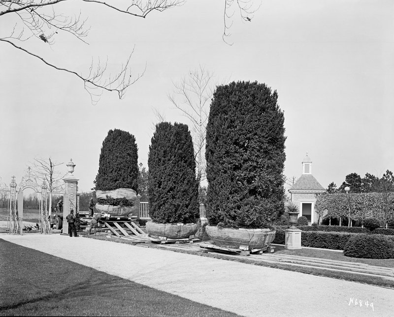 shurcliff-Fig-15