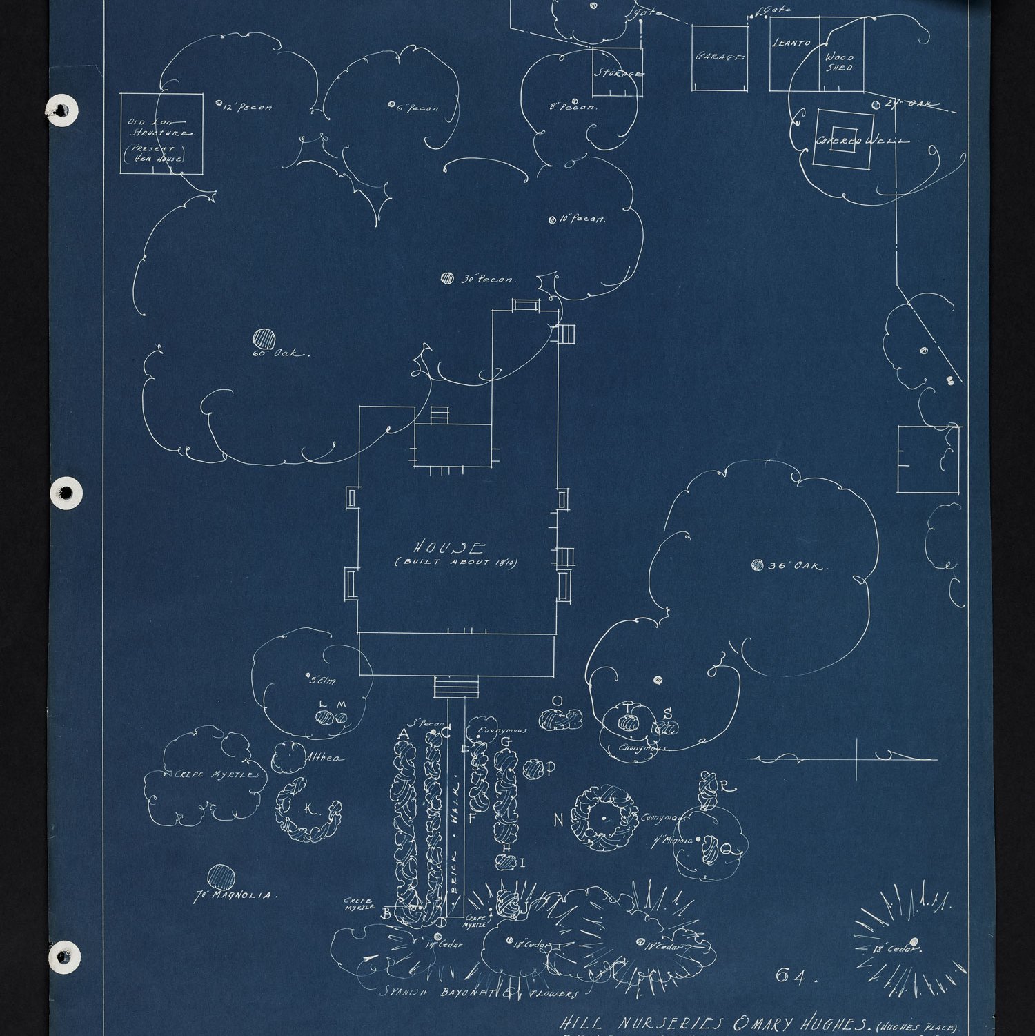 shurcliff-Fig-7