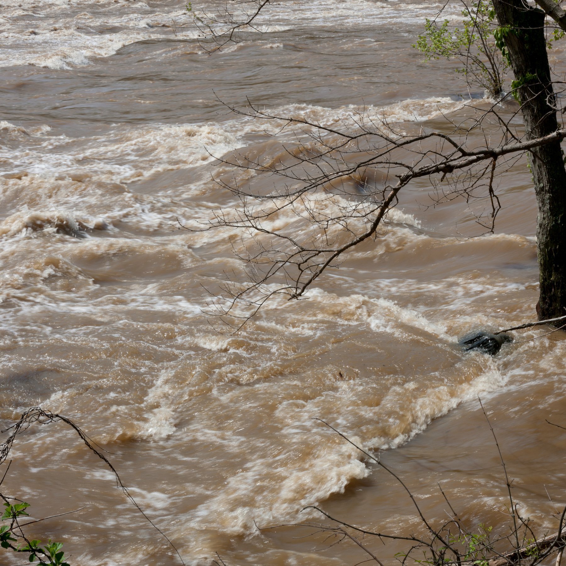 travel tips slides ferry