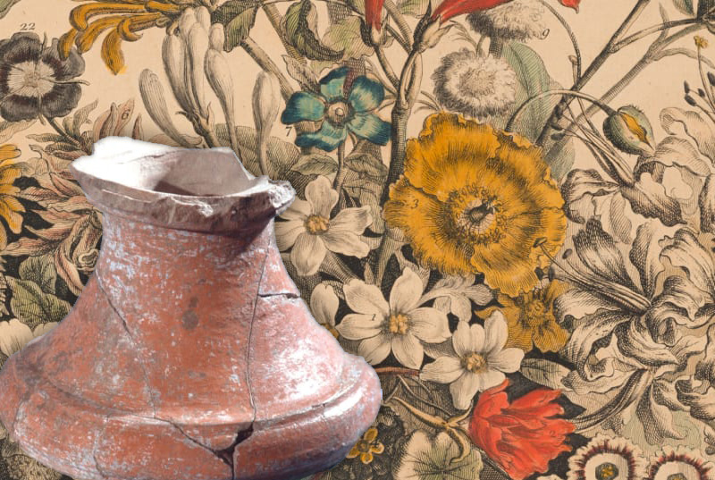 Furber's Flowers - Colonial Williamsburg